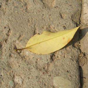 无码三级网站入口
