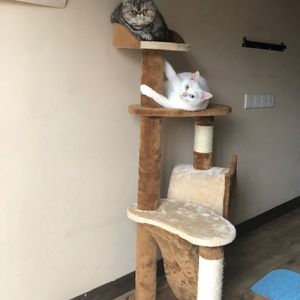 无码三级网站入口
